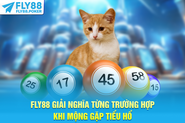 FLY88 giải nghĩa từng trường hợp khi mộng gặp tiểu hổ