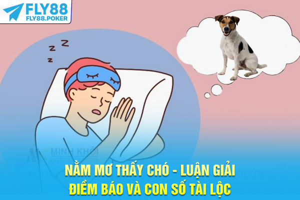 Nằm Mơ Thấy Chó Luận Giải Điềm Báo Và Con Số Tài Lộc